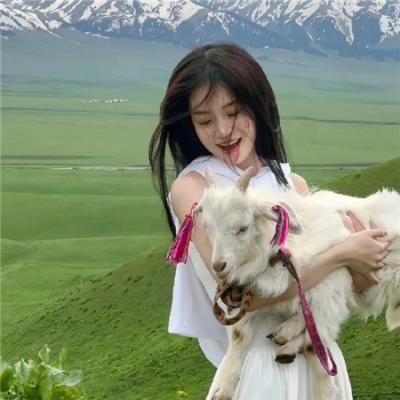 百花缭乱武士新娘 海报